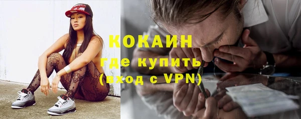 винт Абаза