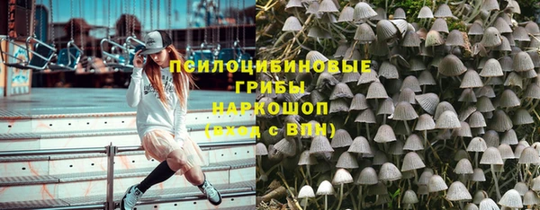 ешки Алзамай