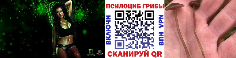 OMG зеркало  Оханск  Псилоцибиновые грибы Psilocybe 
